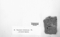 Image Associated With the Occurence